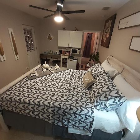 Luxurious Cozy Studio. Tampa Bagian luar foto