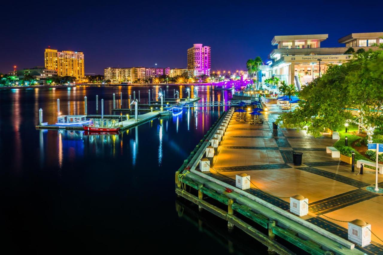 Luxurious Cozy Studio. Tampa Bagian luar foto